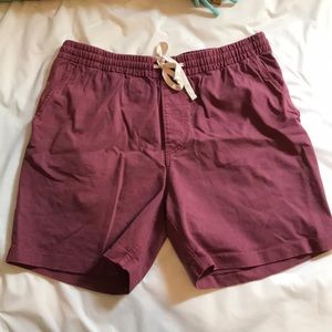 I Crew shorts (medium)